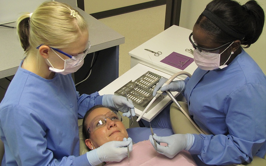 dental students dental students