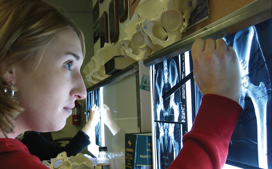 radiography student radiography student