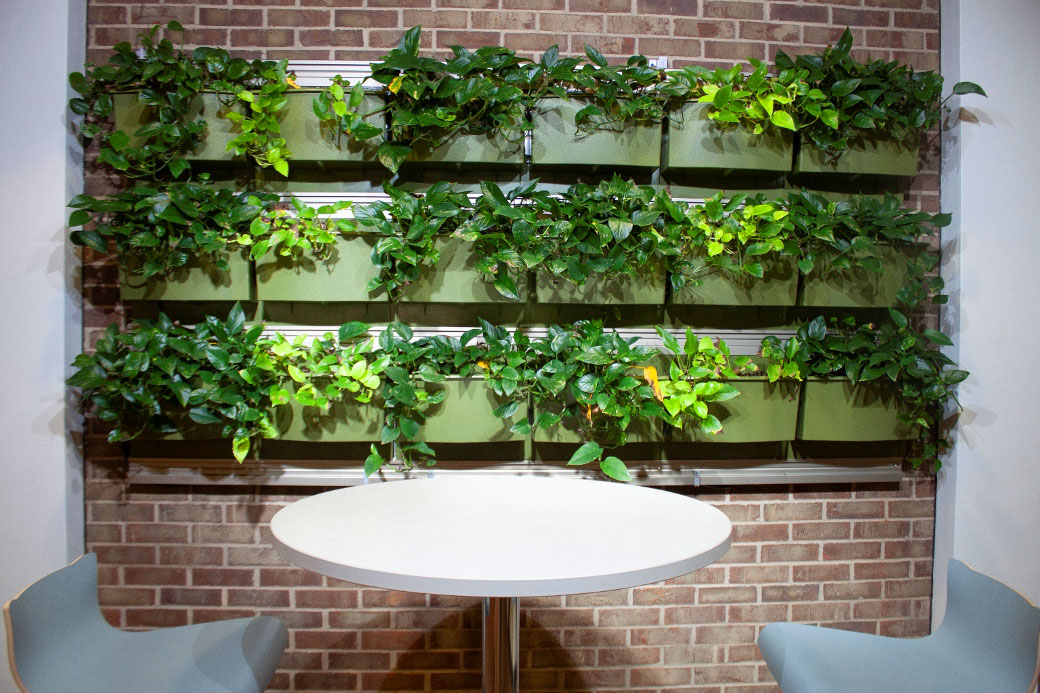 WCC Living Wall, TI building WCC Living Wall, TI building