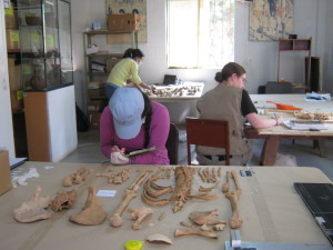 IMG_0091 remake IMG_0091 remake