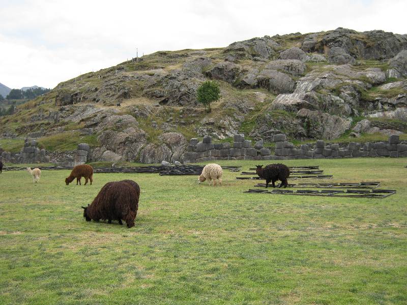 IMG_0437 remake IMG_0437 remake