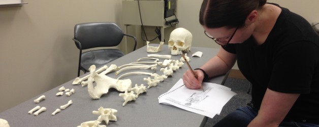 Bone Boot Camp: Week 2 Summary Bone Boot Camp: Week 2 Summary