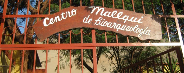 Ilo: Centro Mallqui Ilo: Centro Mallqui