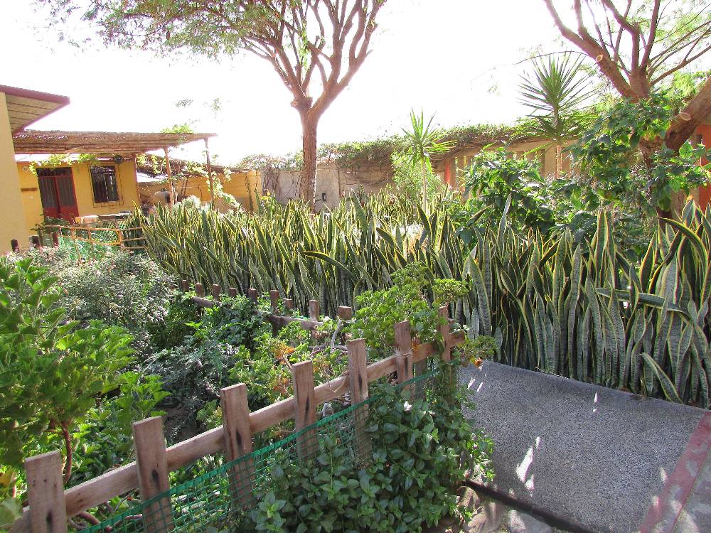 Chris 3 remake Chris 3 remake