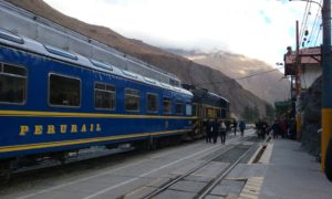 The last week The last week