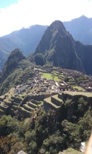 The last week The last week