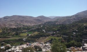 The second week The second week